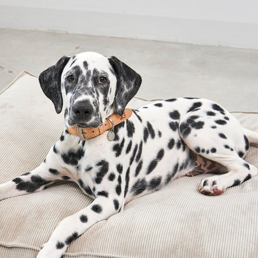 MiaCara Cordo Dog Cushion Greige