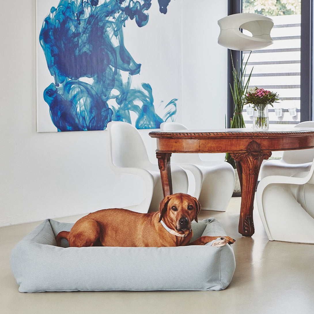 Aesthetic dog bed MiaCara