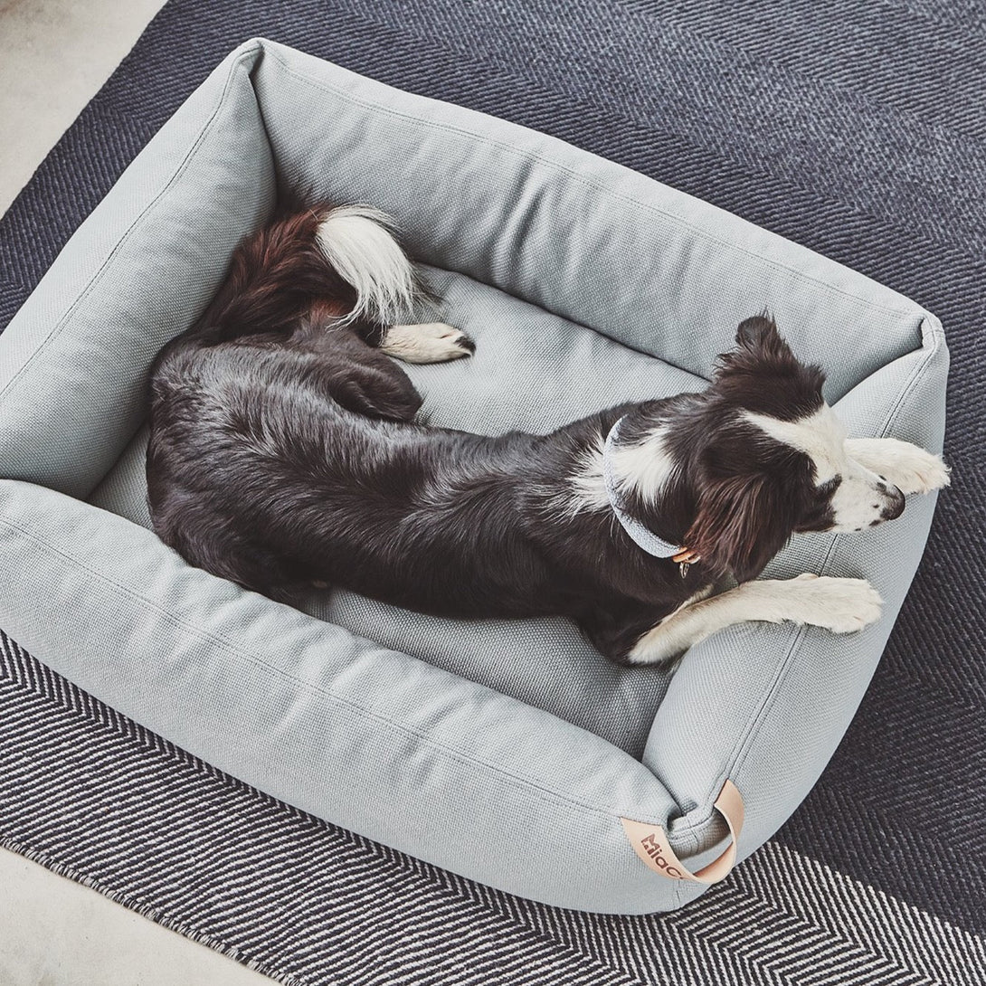Luxury dog bed MiaCara
