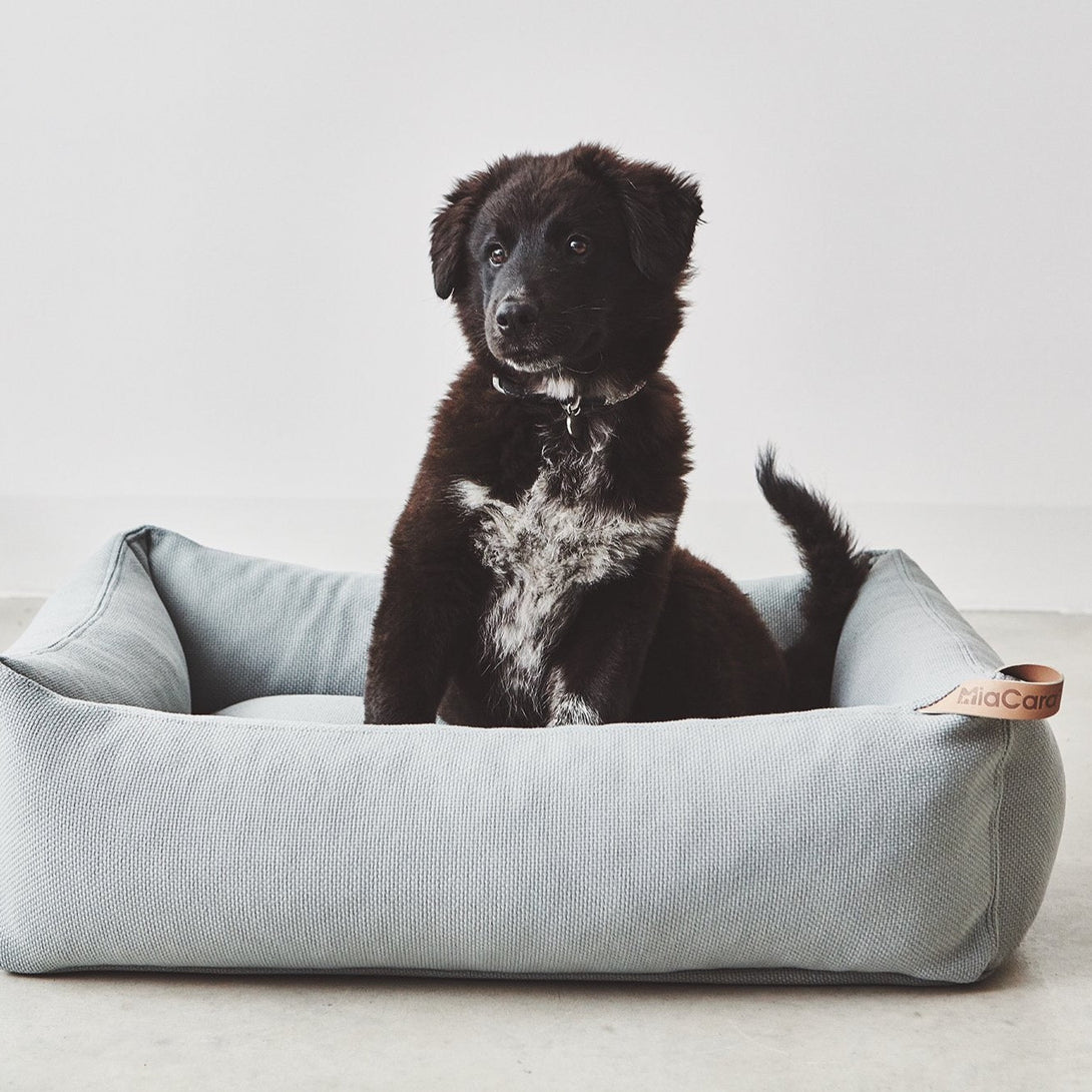 Aesthetic MiaCara dog bed