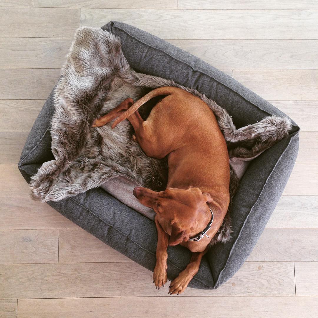 MiaCara Fluffy Dog Blanket Lana Taupe Brown
