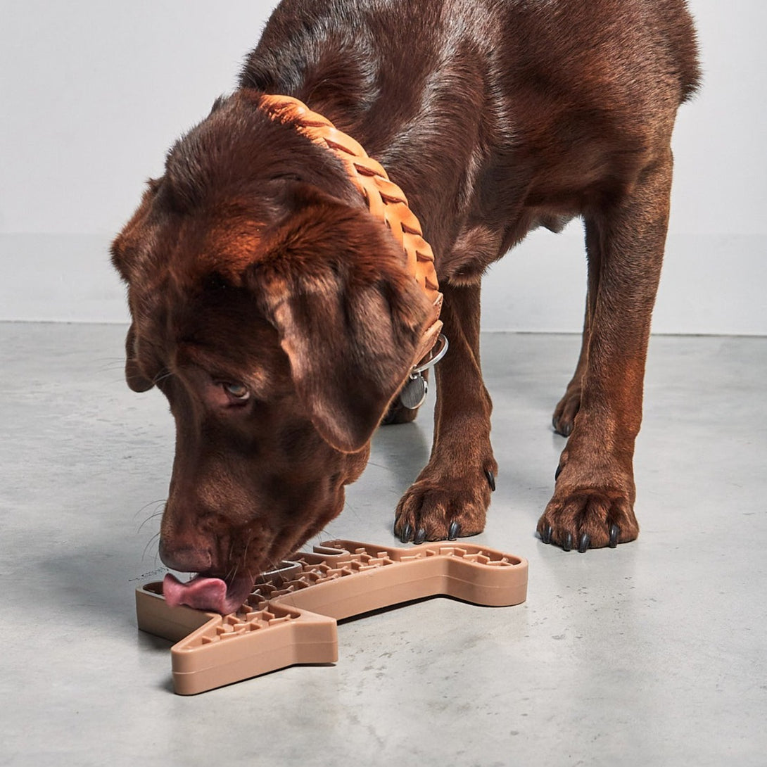 MiaCara Volpe Activity Dog Toy Nude Beige