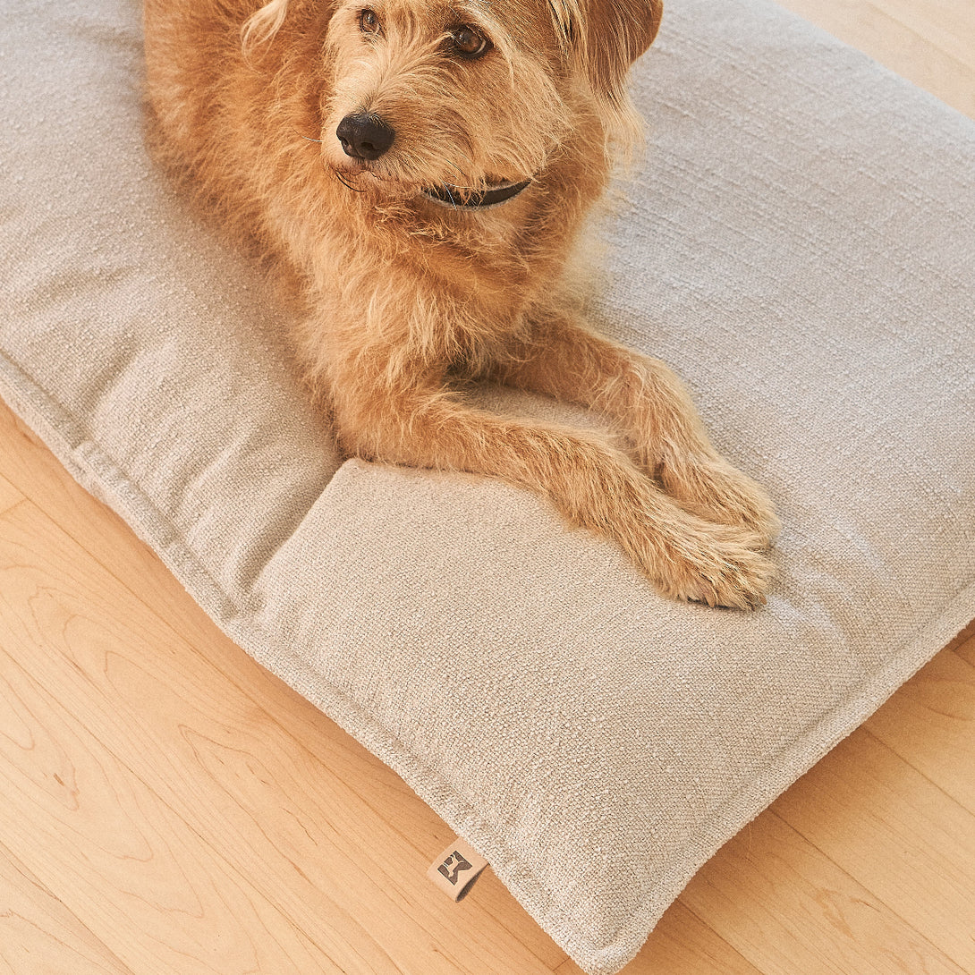 MiaCara Campo dog cushion – minimalist design and comfort
