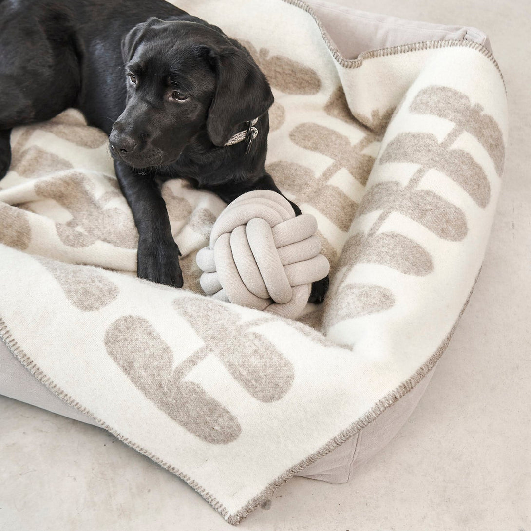 MiaCara Flora – High-Quality Wool Dog Blanket for Stylish Homes