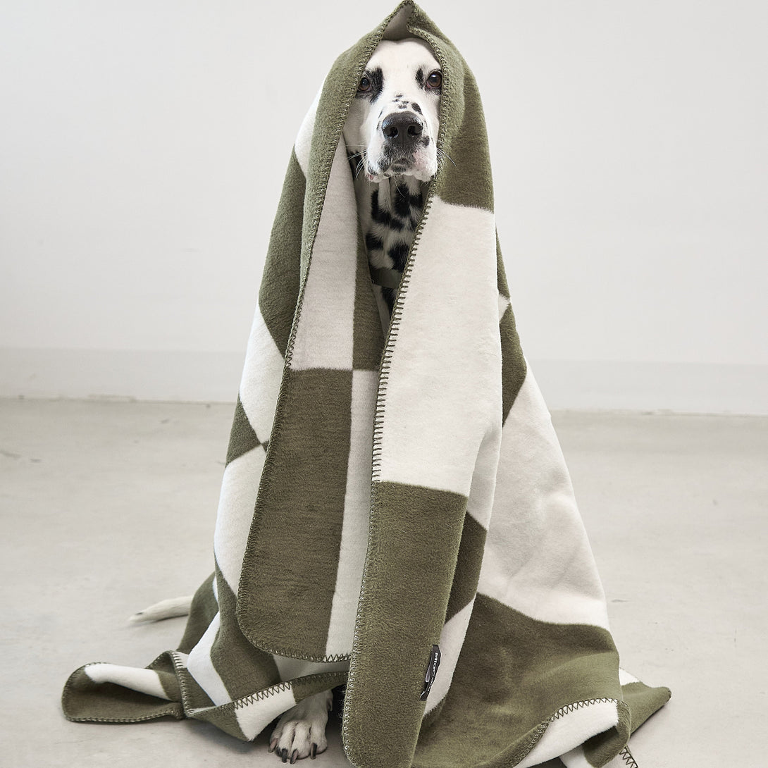 MiaCara Modern Dog Blanket in High-Quality Cotton – Blocco