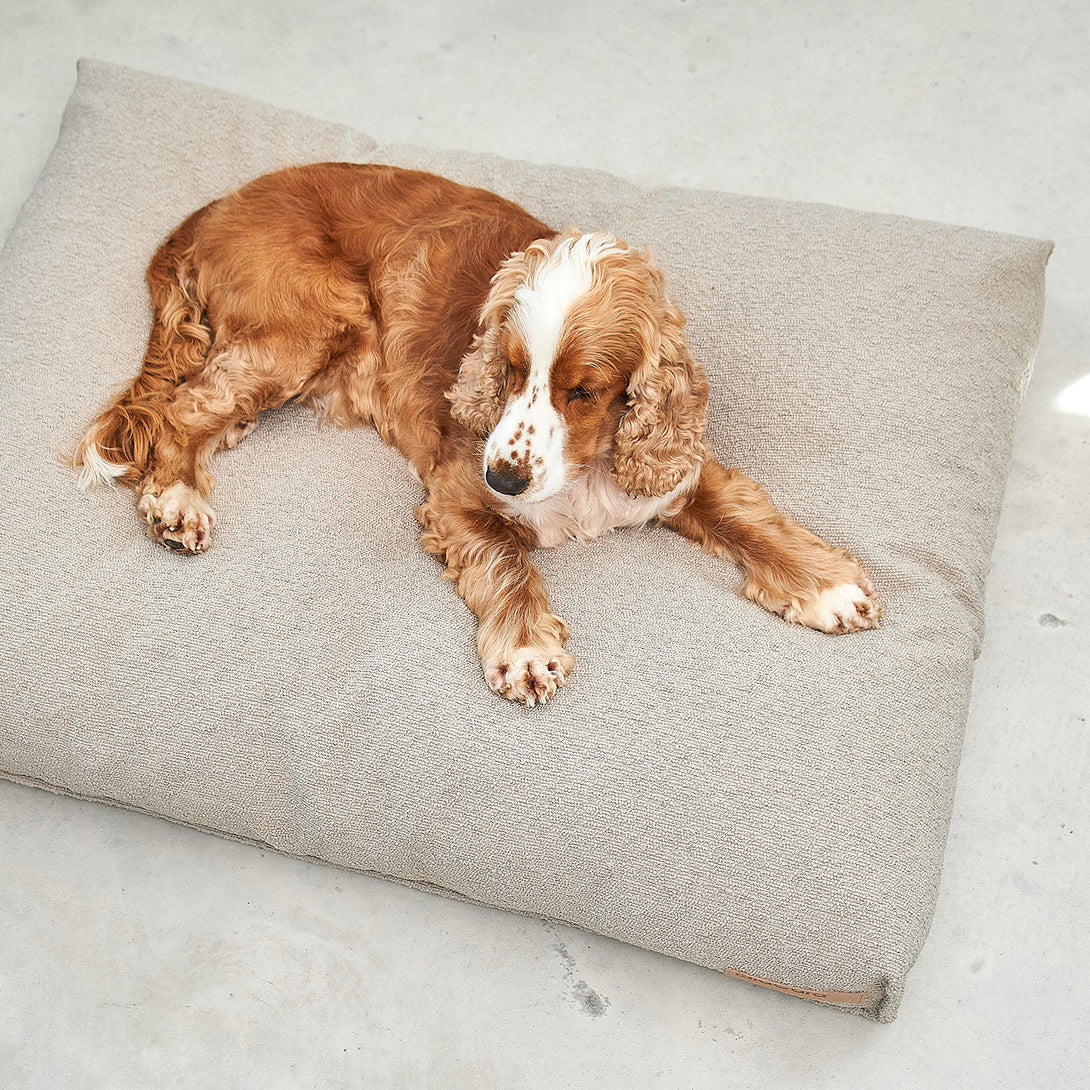 MiaCara Mondo Dog Cushion - High-Quality Bouclé and Memory Foam for Stylish, Comfortable Dog Relaxation
