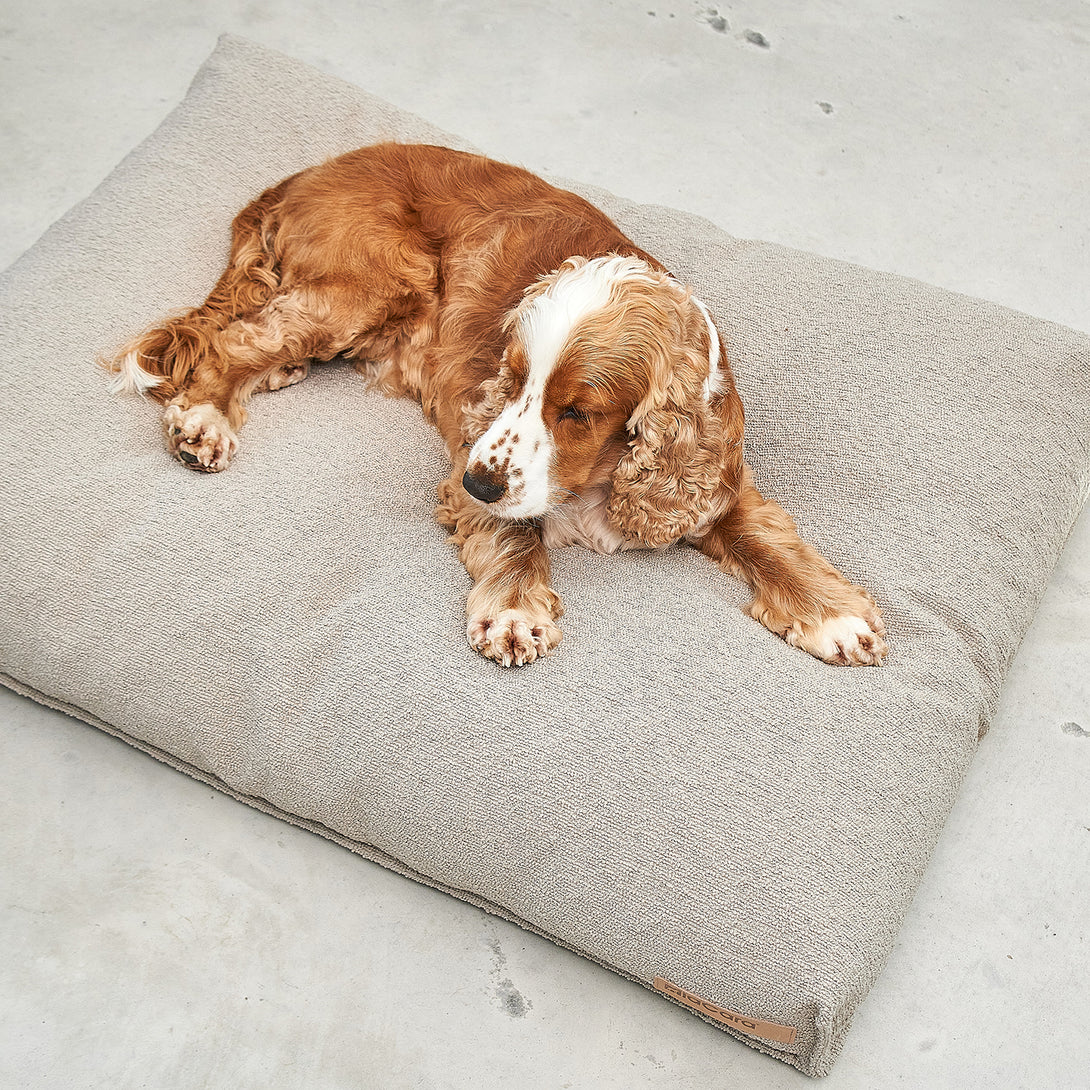 MiaCara Mondo Dog Cushion - Luxury Bouclé Dog Bed with Memory Foam for Style and Comfort