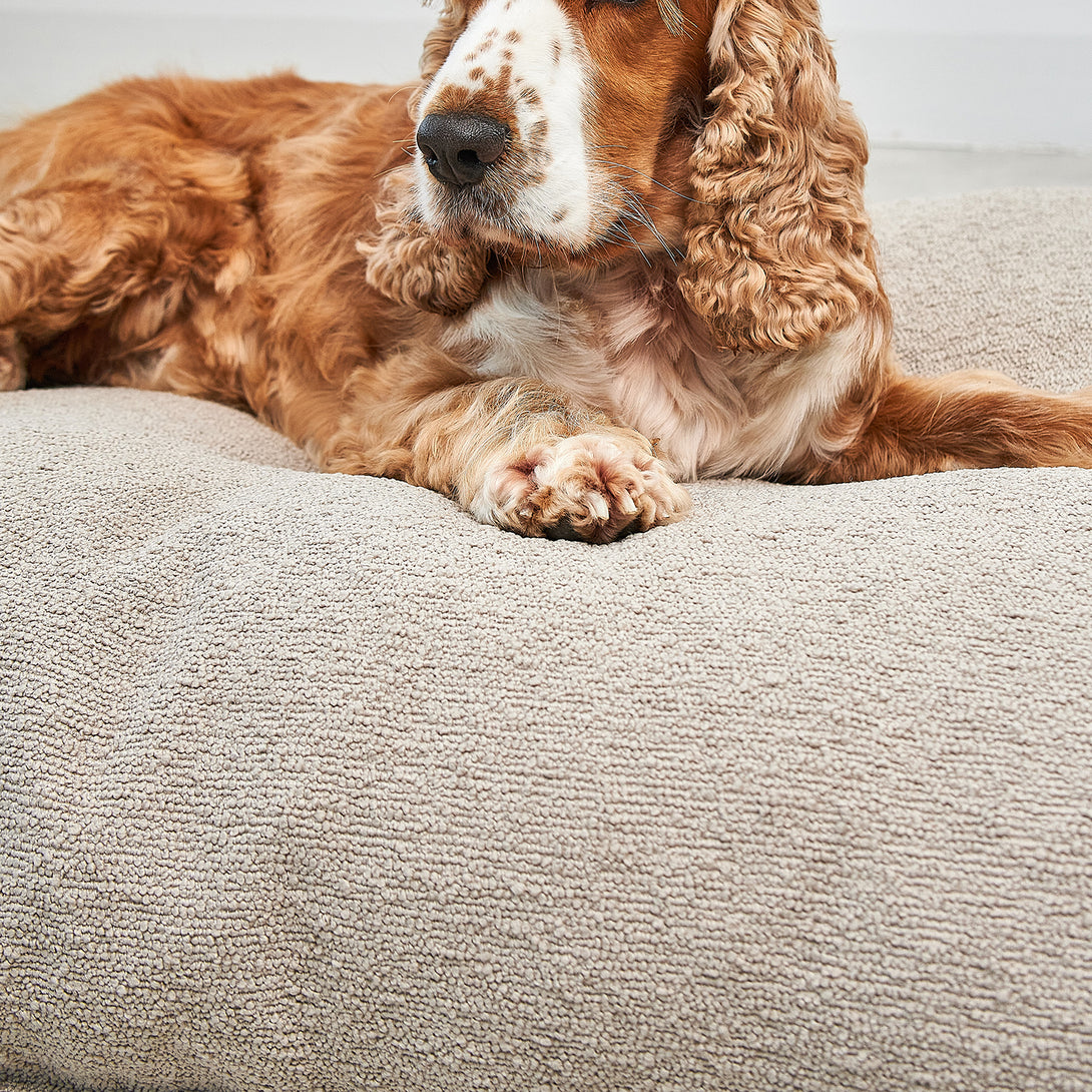 MiaCara Mondo Dog Cushion - Modern Bouclé Fabric Dog Bed in Subtle Earth Tones for Contemporary Interiors