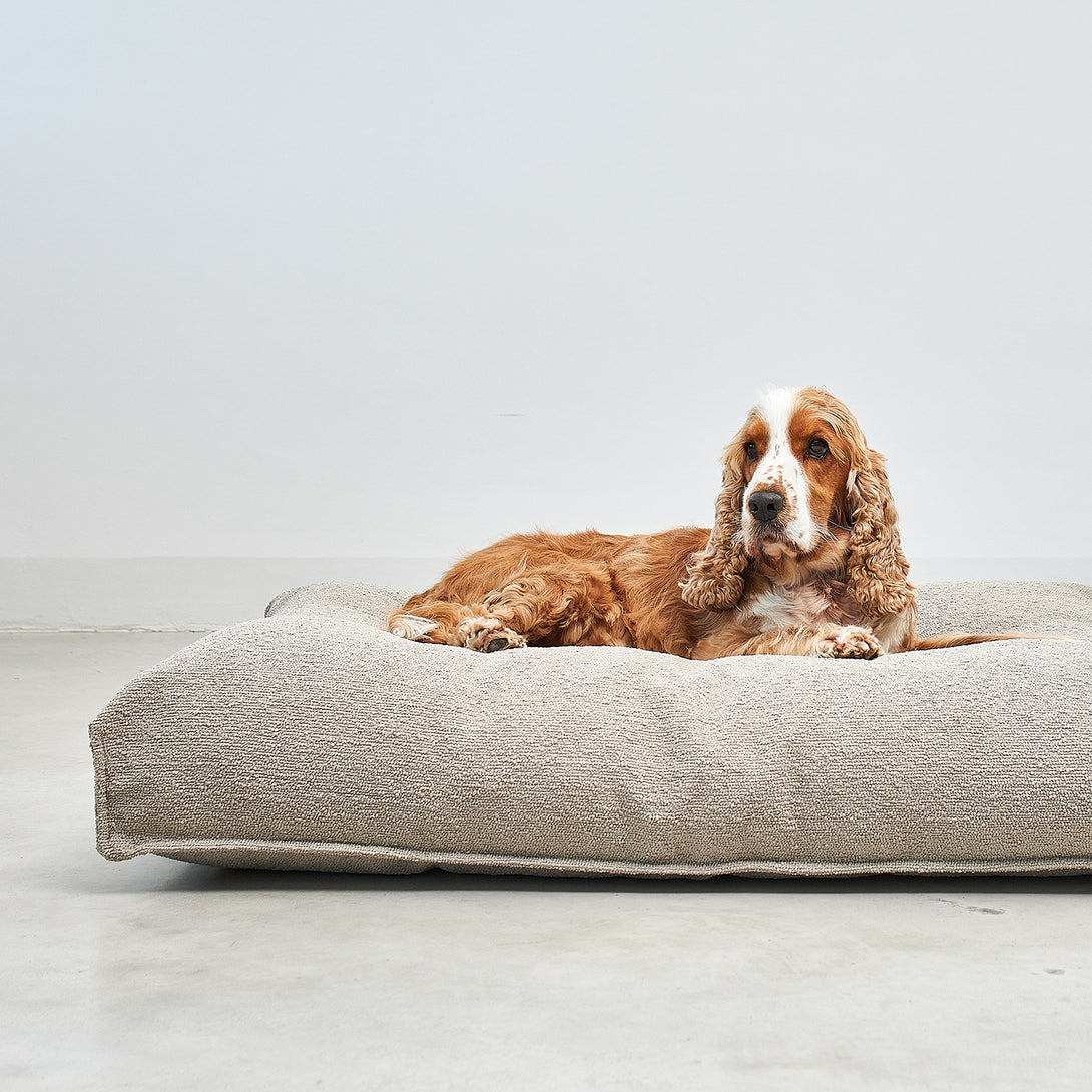 MiaCara Mondo Dog Cushion - Premium Bouclé Design with Memory Foam for a Chic, Cozy Dog Bed