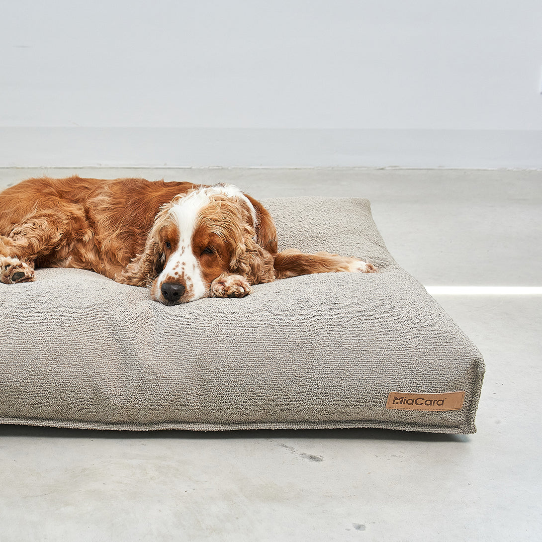 MiaCara Mondo Dog Cushion - Sleek Bouclé Dog Bed in Warm Tones, with Removable, Machine-Washable Cover