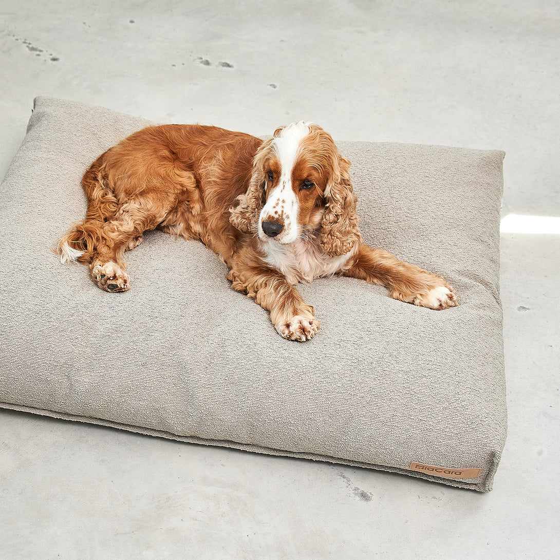 MiaCara Mondo Dog Cushion - Stylish Bouclé Fabric in Cappuccino, Stone, and Chocolate for Modern Homes