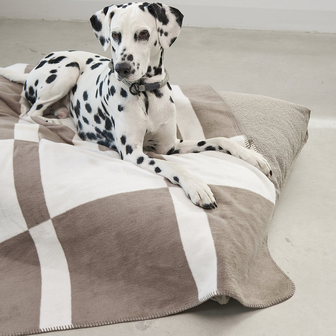 MiaCara Soft Lightweight Dog Throw Blocco – Premium Comfort