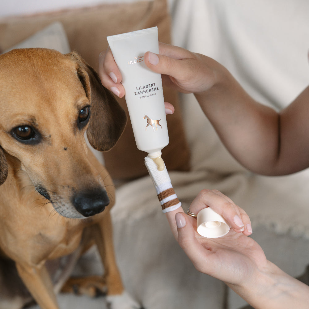 LILA LOVES IT Natural dog toothpaste Liladent
