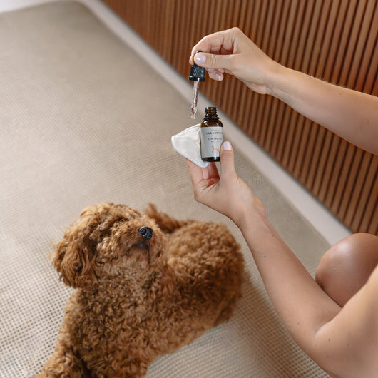 LILA LOVES IT Eye Care - Dog Eye cleaning natural ingredients