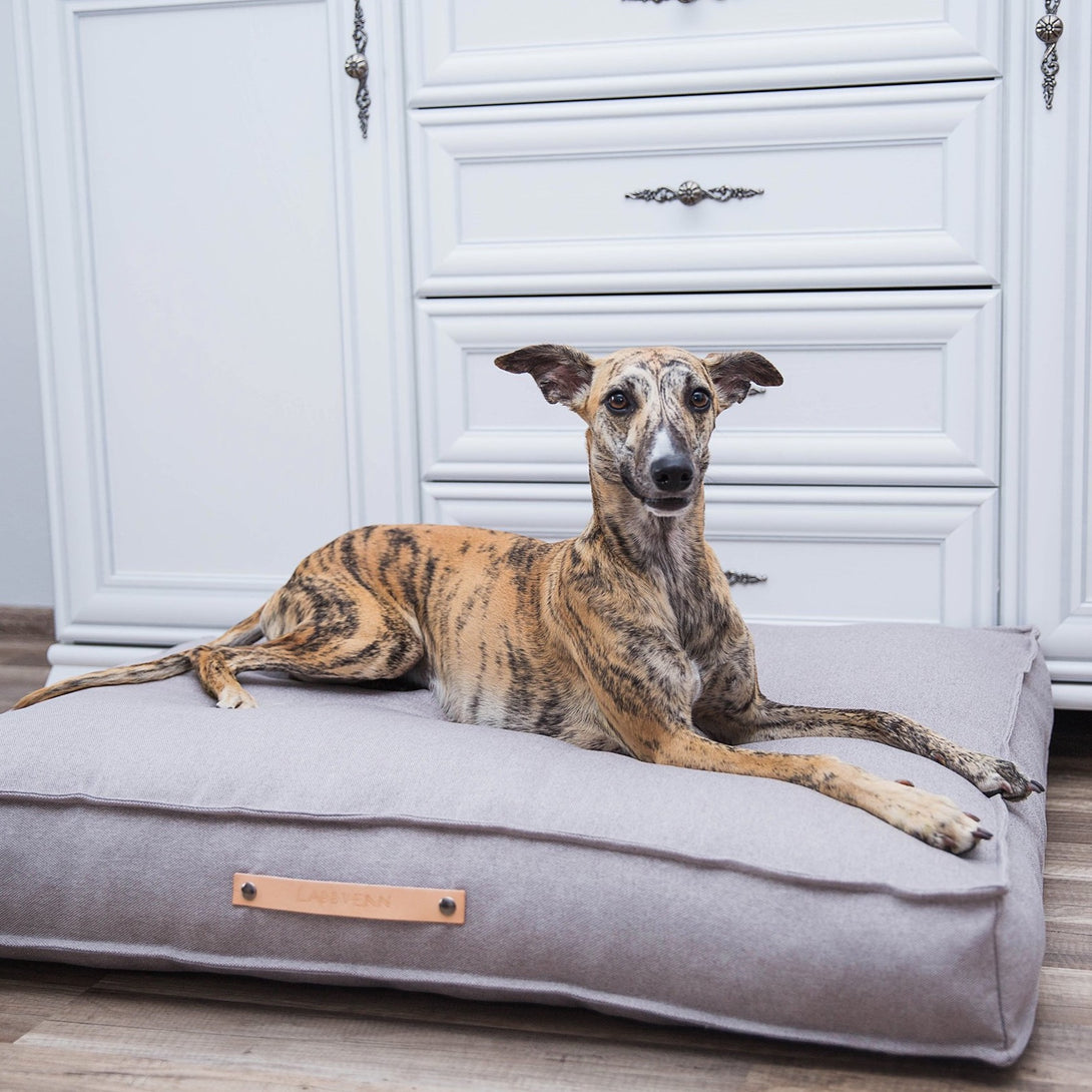 Walnut Modern Classic Dog Cushion Labbvenn