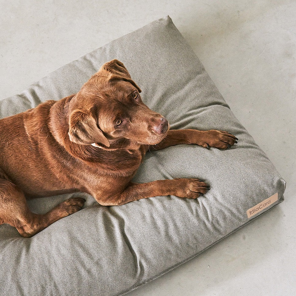 MiaCara Environmentally friendly dog cushion Mare with washable cover in neutral colors