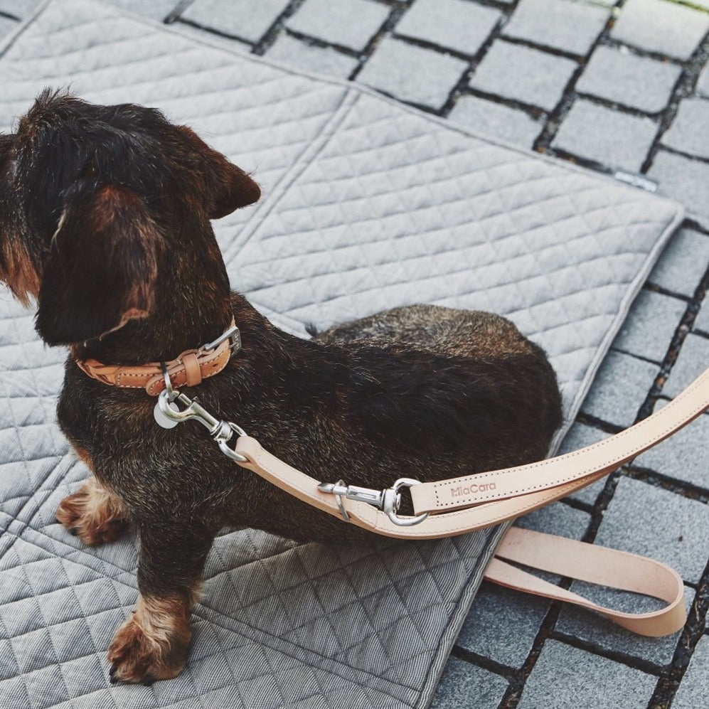 Natural Leather MiaCara Dog Leash and collar