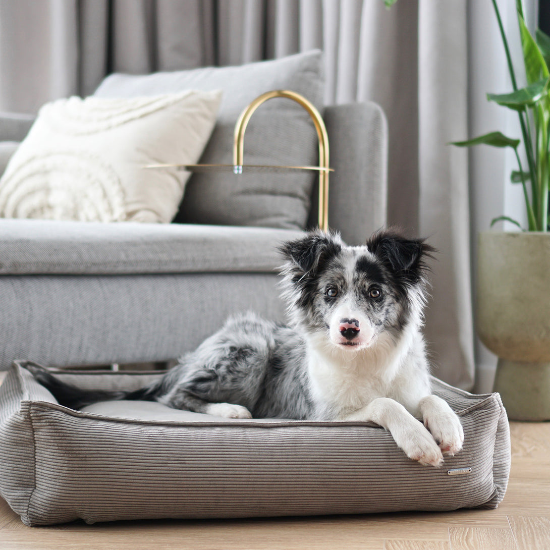 Modern Corduroy Dog Bed Dark Grey Labbvenn